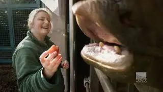 It's Time to Visit Woodland Park Zoo
