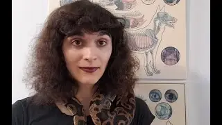 Ball Pythons and the Ethics of Reptile Husbandry