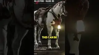 Essential Items You MUST Buy In The RDO Collector Role