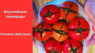 Простой быстрый рецепт вкусных помидоров/ Una receta sencilla y rápida de deliciosos tomates.