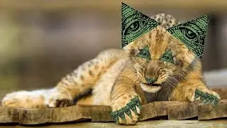 КоПаТеЛь!!! (ТРОЛИНГ)!!!   ^_^
