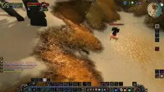 Classic Balance druid leveling pvp