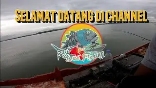 mancing dasaran - strike kakap umpan udang hidup