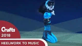 Heelwork to Music - Freestyle International Winner | Crufts 2018