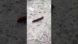 Day in the life of a part time streamer #2