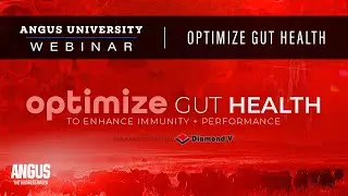 Optimize Gut Health | WEBINAR - September 21st, 2021 - TREVOR TUELL, DIAMOND V