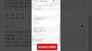 Understanding Tuples in Python