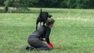 Frisbee Freestyle Юля и Пегас