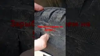 Зарыбил водоем на 5500₽:)
