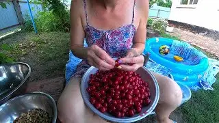 Как фаршировать вишни орехами. Секрет от шефа.