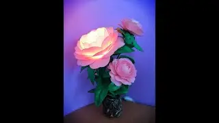 камелия малютка))) что подарить....