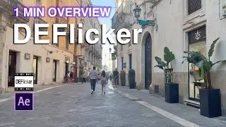 1 Minute Overview - DEFlicker