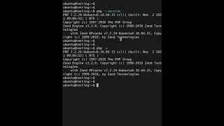 How to check PHP version in Ubuntu?