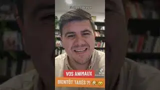 (BEST-OF) Vos ANIMAUX bientôt TAXÉS ?! 🐶🐱 #Budget2025 #animauxdecompagnie