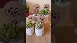 www.SucculentSocial.com.au #mothersday #mothersdaygift #succulentgifts #succulent #mothersday2024