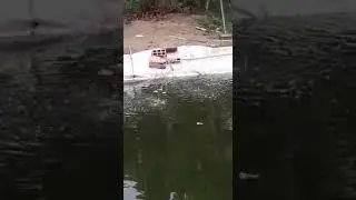 Nosso sistema de Criação de Tilápia e Tambaqui em Tanque Escavado com Lona PVC