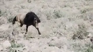 Вот это да просто класс Обалдеть