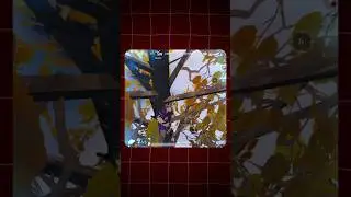 Livik map 🗺️ new Hidden Glitch 😱 #mrsmartyt #shorts #bgmi