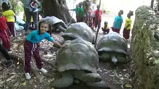 Spotkanie z Żyrafami i Żółwiami – Park Hallera, Mombasa | Dzika natura Kenii