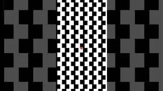 look in the centre for 30 second , then look away...🤔