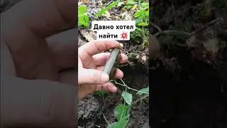 Поиск старины 