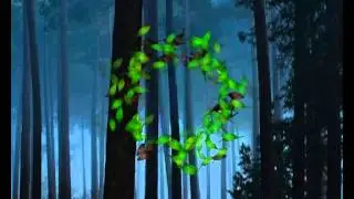 ФУТАЖ-ТЕМНЫЙ ЛЕС