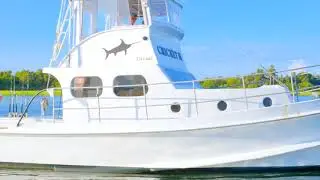 Win a DAY at SEA with BSV!