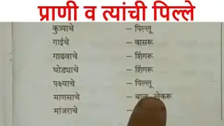 प्राणी व त्यांची पिल्ले | Animals and their Kids in Marathi | prani v tyanchi pille