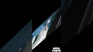 IMG 1956