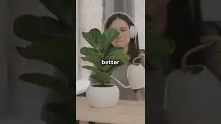 Amazing facts about indoor plants!