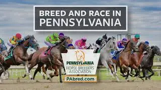 2022 Pennsylvania Stallion Series