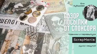 Обзор посылки от спонсора скрап-Универа ScrapMania / январь 24 / Скрапбукинг