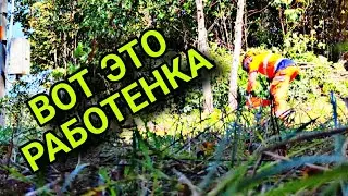 ✅Расчистка участка бюджетным триммером PATRIOT PT 550 и бензопилами HUSQVARNA 353 VILLARTEC SB 591 ✅