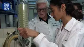 Universitarios desarrollan innovadoras alternativas para el tratamiento de COVID19