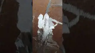 сварка труб , дефекты.