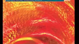 Bugün benim efkârım var / Değme felek - Ensemble Canticum Novum & Gülay Hacer Toruk & Mashal Arman