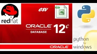 How to export CSV data from Oracle database using Python.