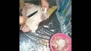 Разделка мяса целой свинки. Домашний разбор мясо свиньи. 2022