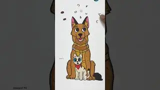 Pixie Dog Guess the Real Eye Challenge !! 