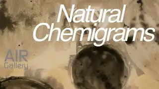 #DIY // Natural Chemigrams // Supported by AIR Gallery Altrincham