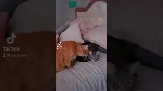 Can you feel the love