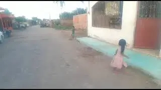 se cayó el pobre 😂