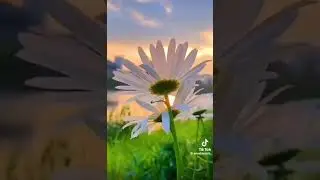Ты меня не забывай,даже если будет трудно!!!!