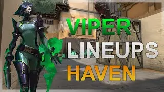 VIPER HAVEN ATTACKING SETUP + POSTPLANT LINEUPS