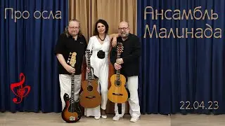 Ансамбль Малинада 