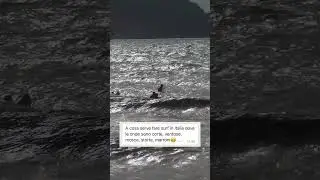L'importante è surfare…