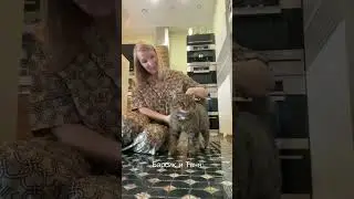 Это ЛЮБОВЬ ❤️ 