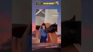 Memes I Found On The internet🤣 