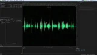 Sound for Video Session: Boom Mic, Lav Mic, Poly Wav Files, and Walla