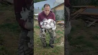 Osman kardeşimize hayırlı olsun